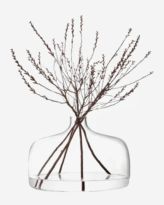 LSA Vessel Wide Vase Clear