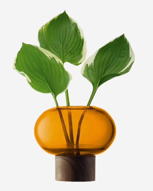 LSA Amber Walnut Oblate Vase H13.5cm