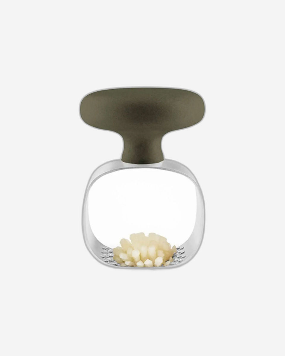 Eva Solo 531504 Garlic masher Green Tool