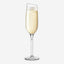 Eva Solo 541004 Champagne Wine Glass
