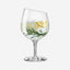 Eva Solo 541008 Gin Glass