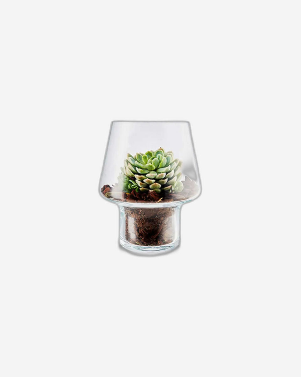 Eva Solo 568187 Succulent Glass Vase 15cm