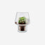 Eva Solo 568187 Succulent Glass Vase 15cm
