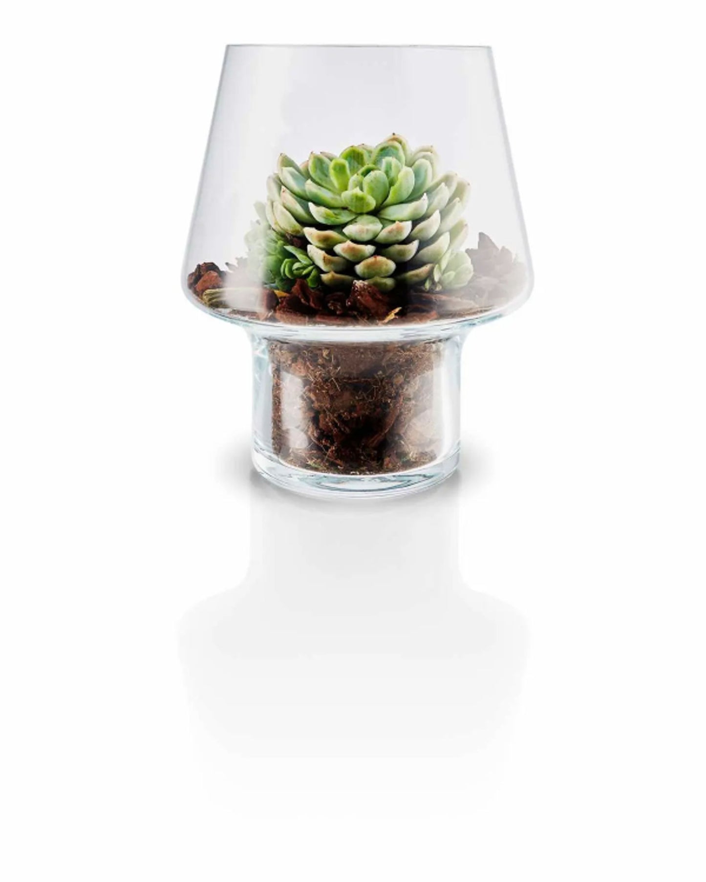 Eva Solo 568187 Succulent Glass Vase 15cm