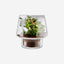 Eva Solo 568188  Succulent Glass Vase 21cm