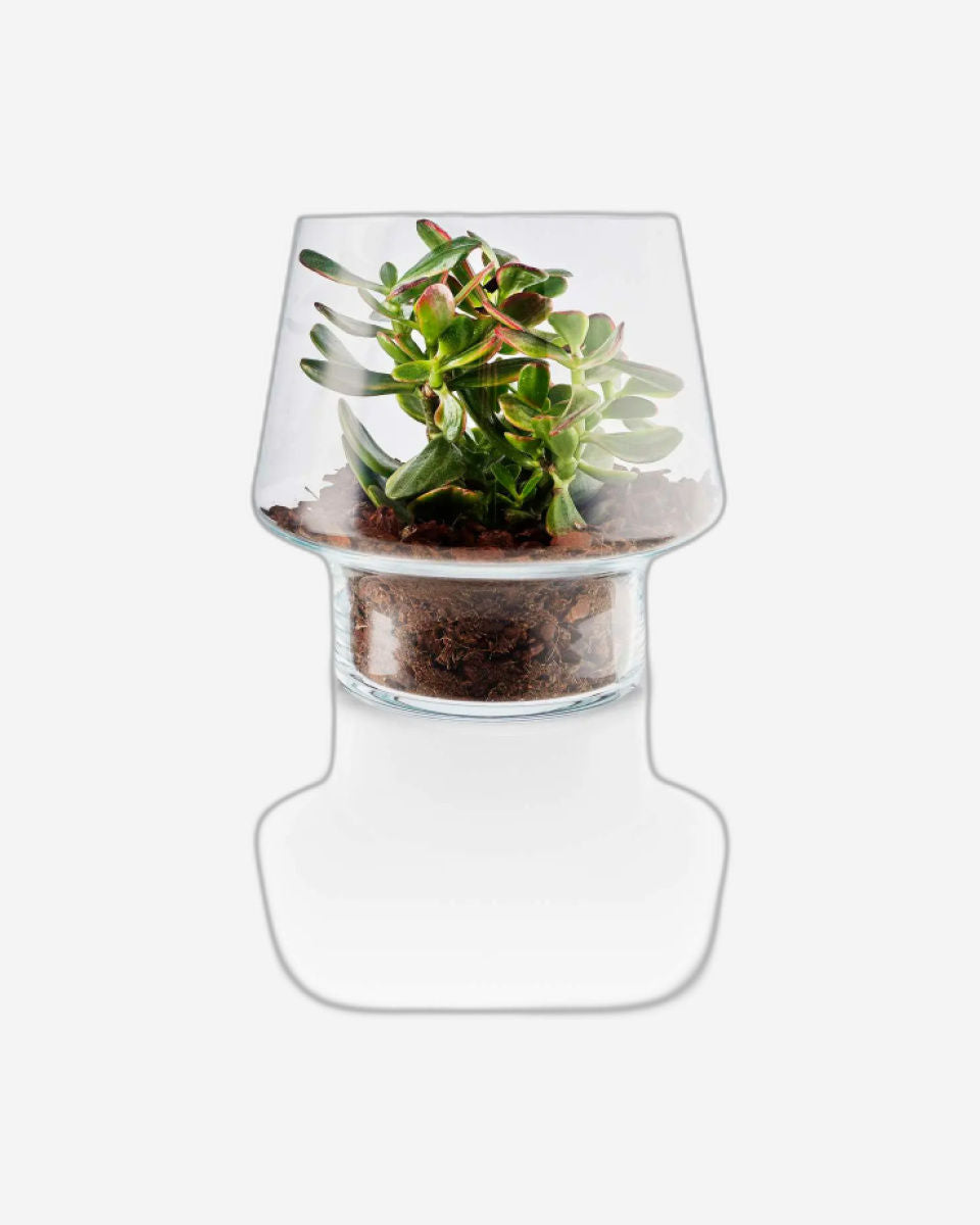 Eva Solo 568188  Succulent Glass Vase 21cm