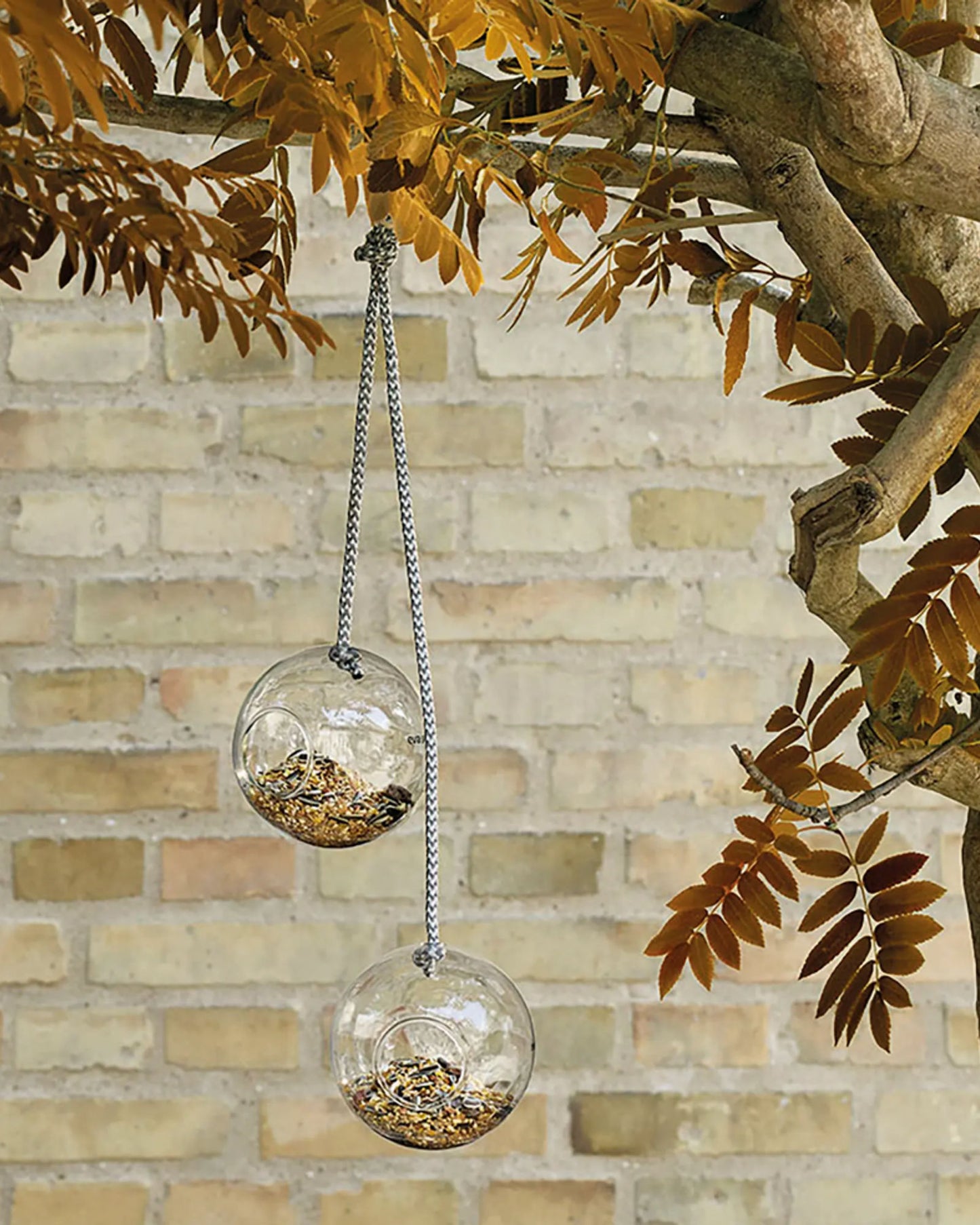 Eva Solo 571019 2 Glass Bird Feeders