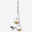 Eva Solo 571019 2 Glass Bird Feeders