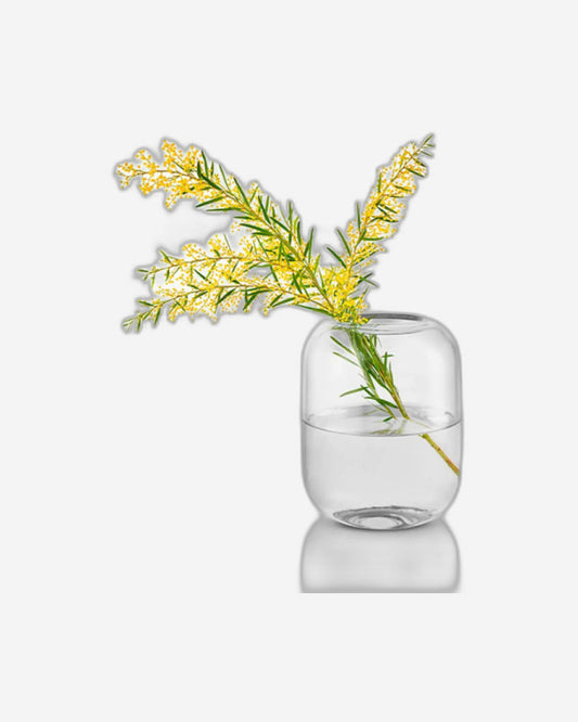 Eva Solo 571388  Acorn Vase H16.5 Clear