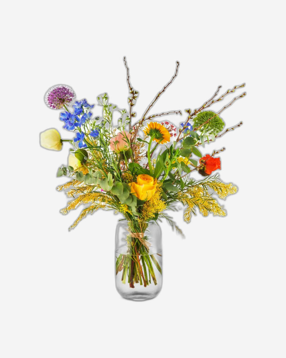 Eva Solo 571390  Acorn Vase H22 Clear