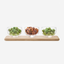 LSA Clear Serve Arch Trio Bowl Set with Oak Base