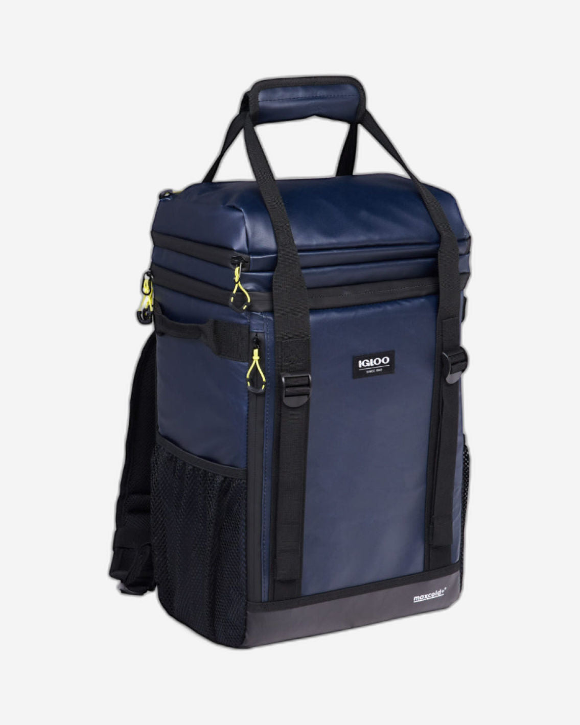 Igloo-Maxcold Ascent 24 Backpack - Blue/Black