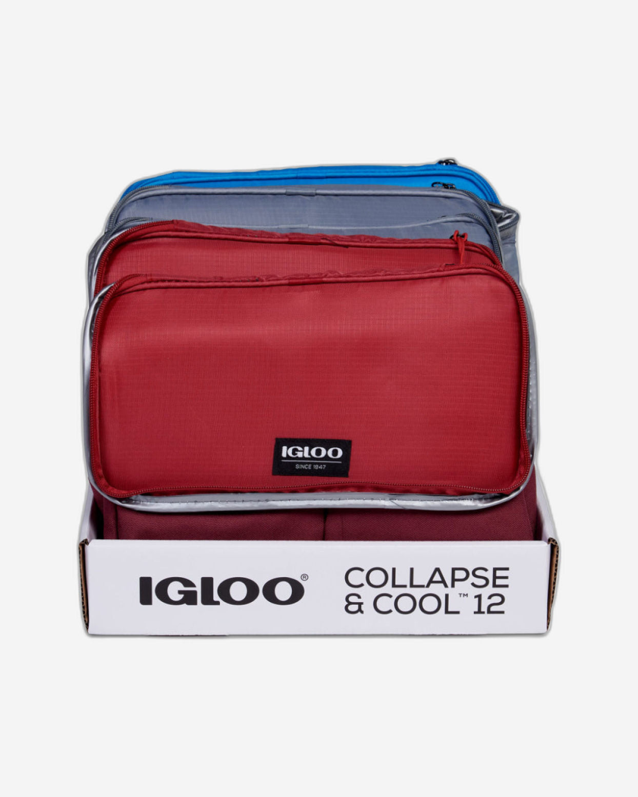 Igloo-Collapse & Cool 12 Solid Assortment - Blue/Black