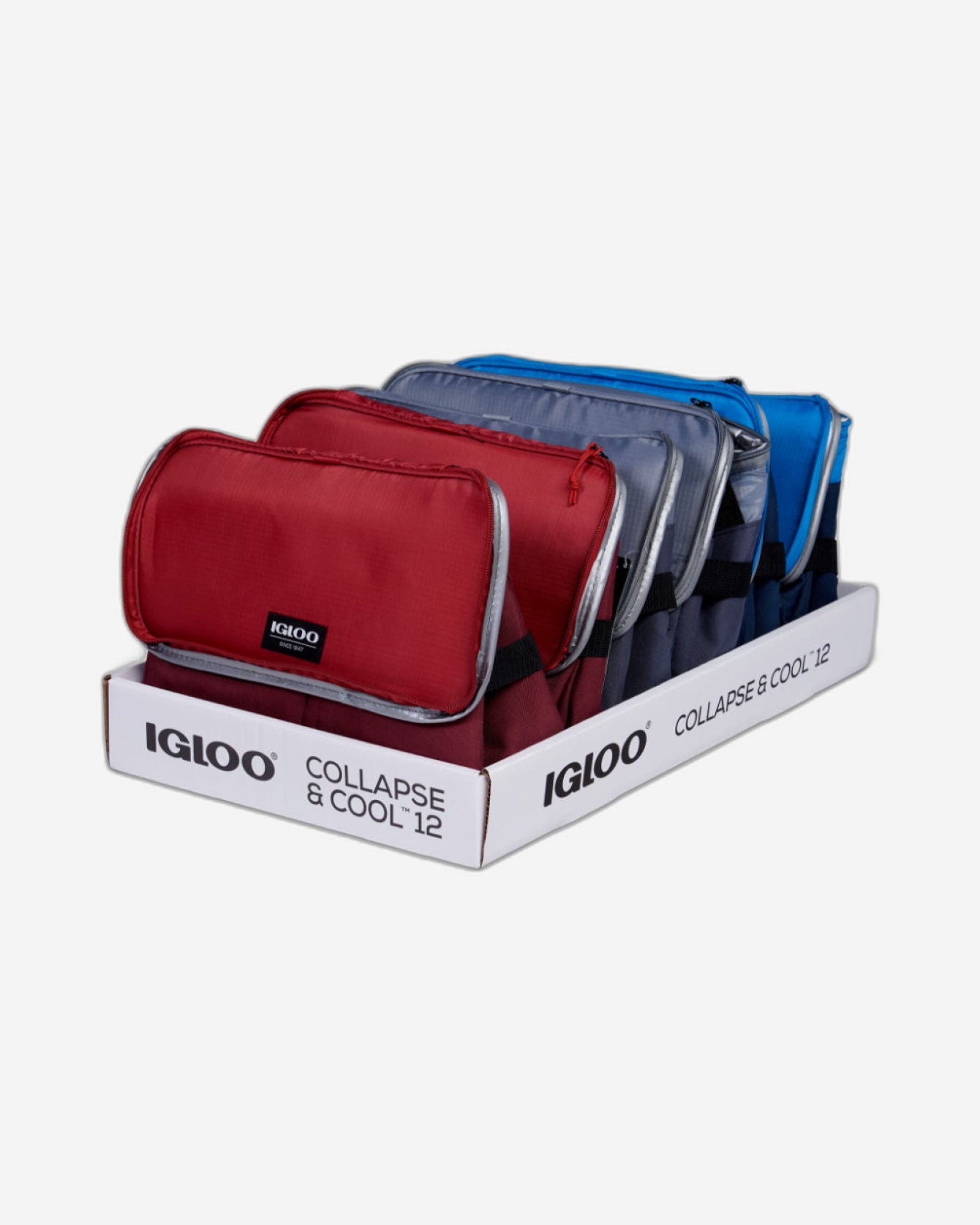 Igloo-Collapse & Cool 12 Solid Assortment - Blue/Black