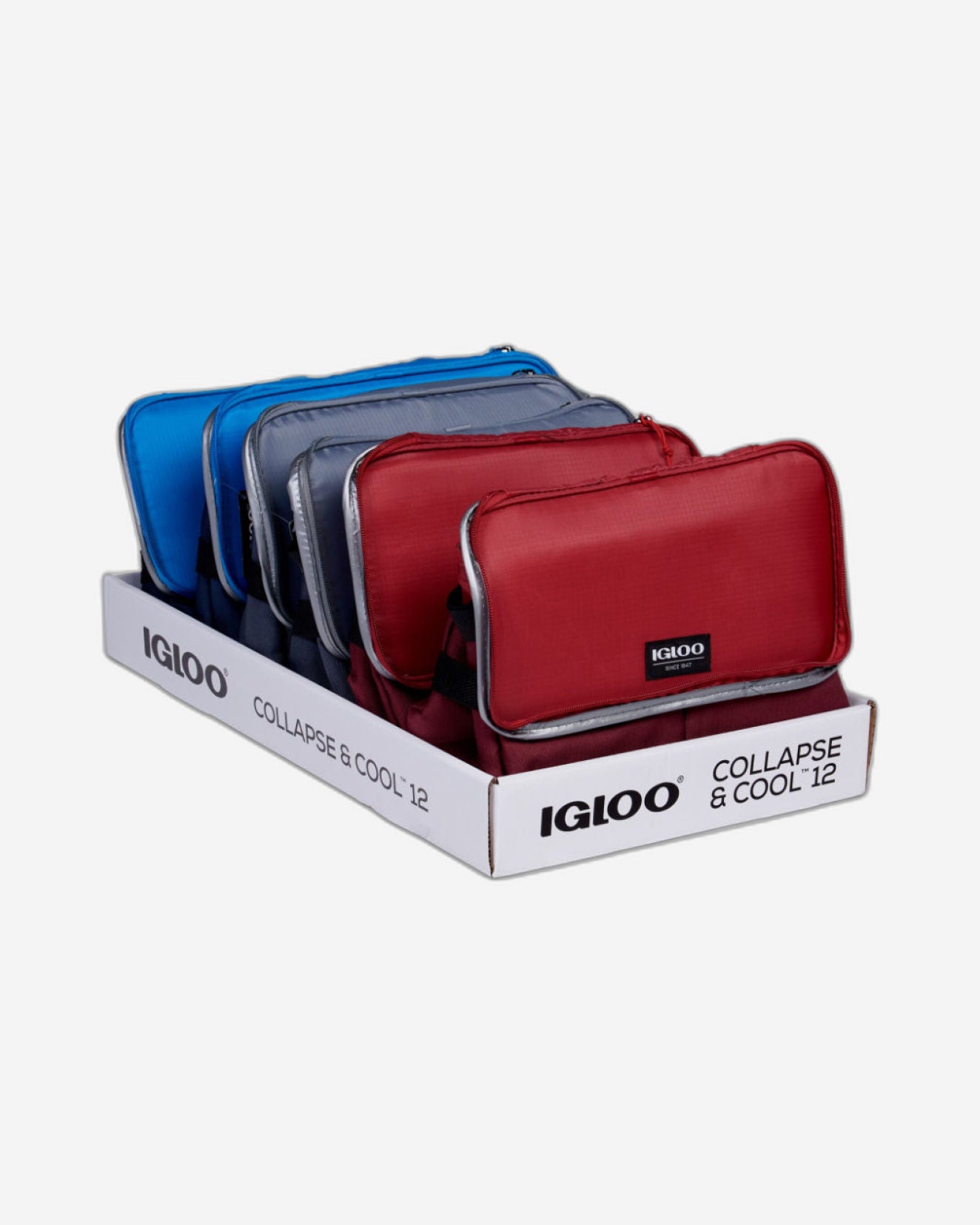 Igloo-Collapse & Cool 12 Solid Assortment - Blue/Black