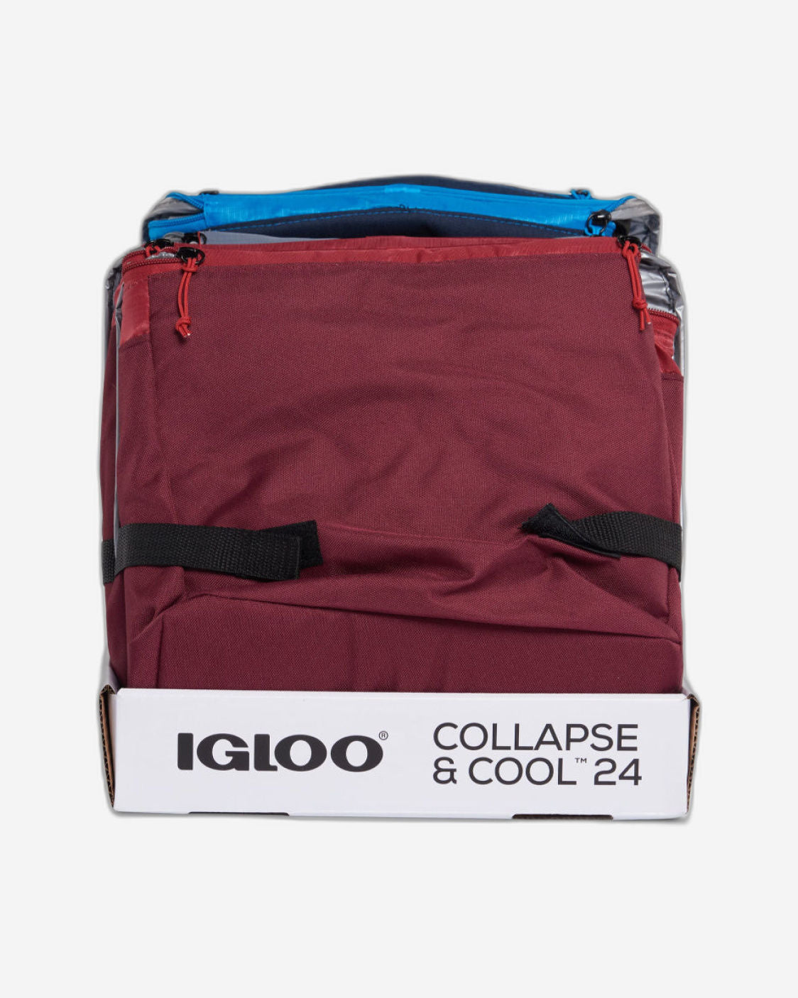 Igloo-Collapse & Cool 24 Solid Assortment - Blue/Black