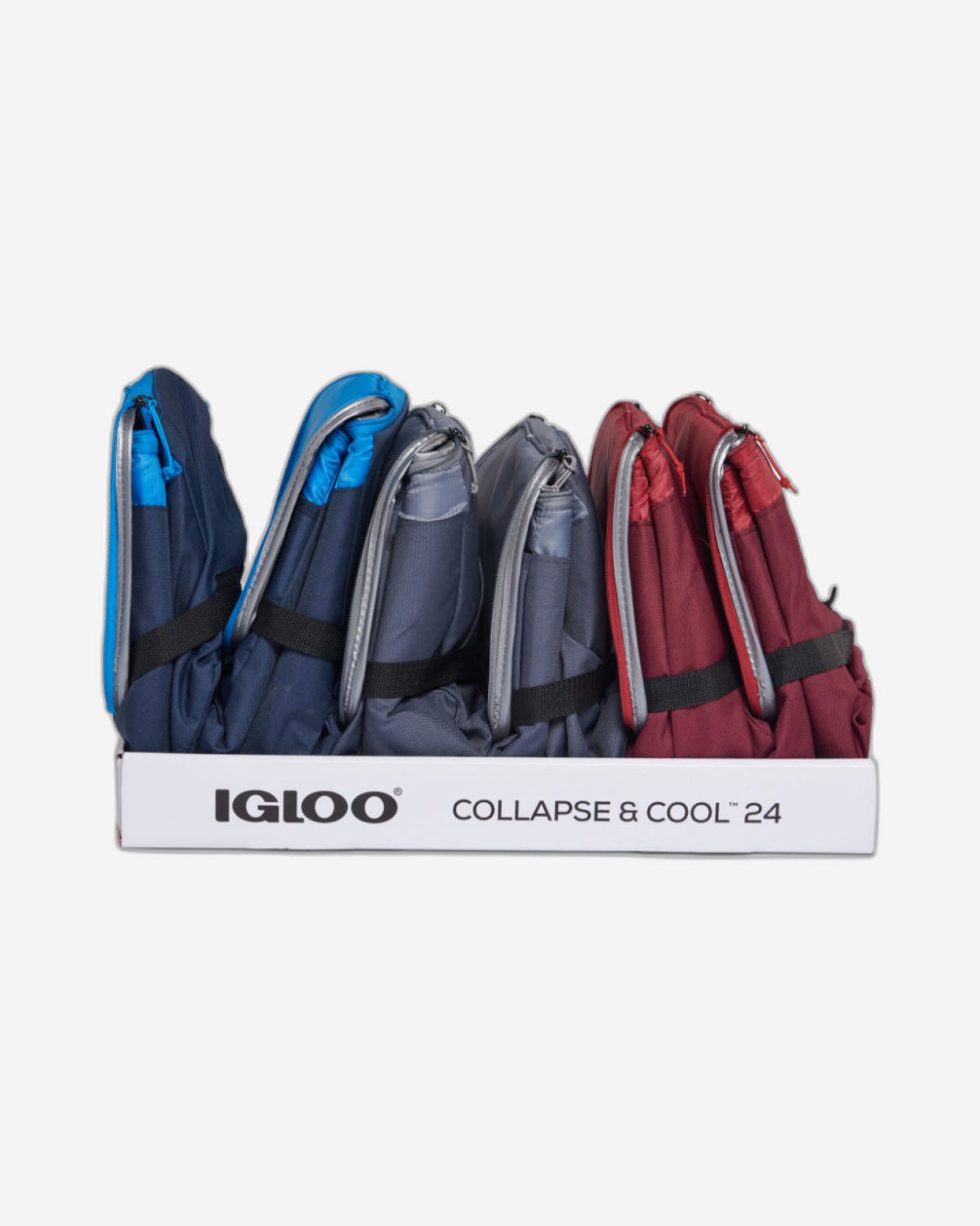 Igloo-Collapse & Cool 24 Solid Assortment - Blue/Black