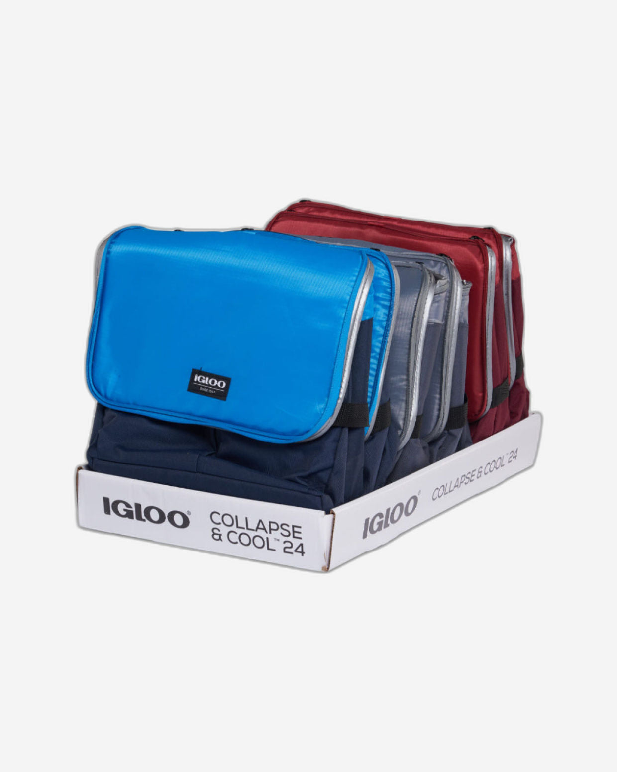 Igloo-Collapse & Cool 24 Solid Assortment - Blue/Black