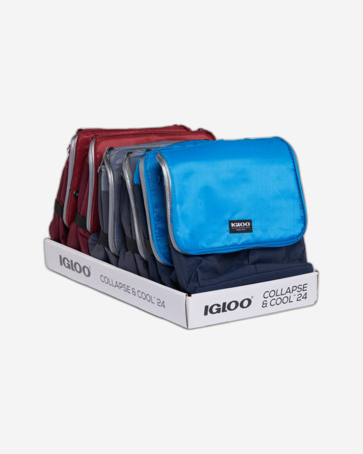 Igloo-Collapse & Cool 24 Solid Assortment - Blue/Black