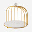 Shallow Elegant Porcelain 26cm Cake Plate with Luxurious Gold Stand