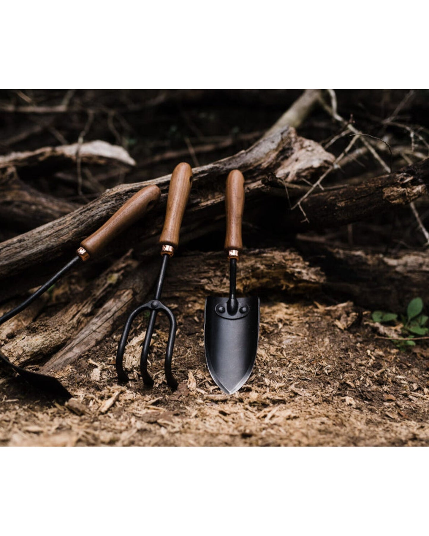 BareBones - Garden Trowel - Walnut/Black