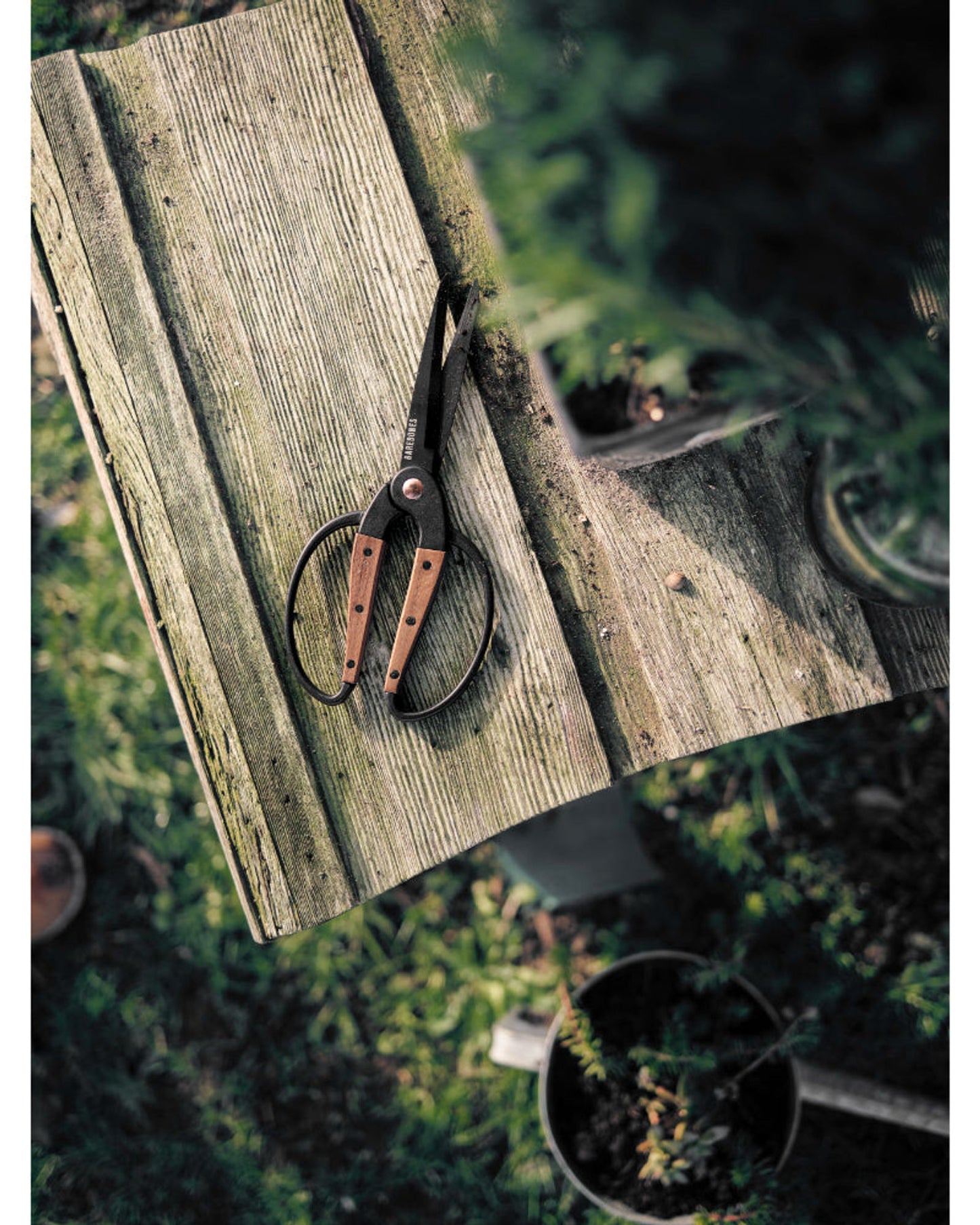 Barebones-  Garden Scissors