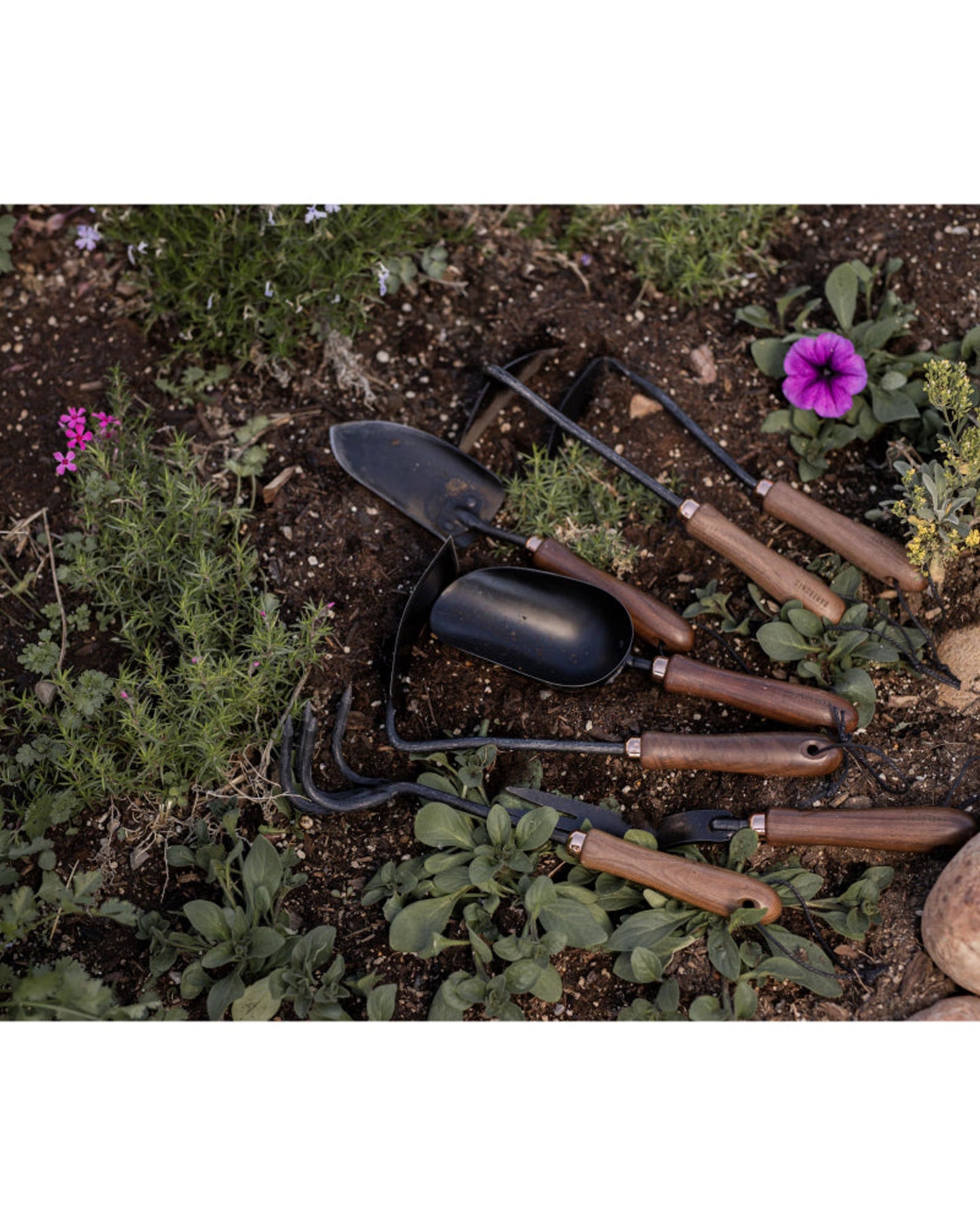 BareBones - Japanese Weeding Hoe  - Walnut/Black