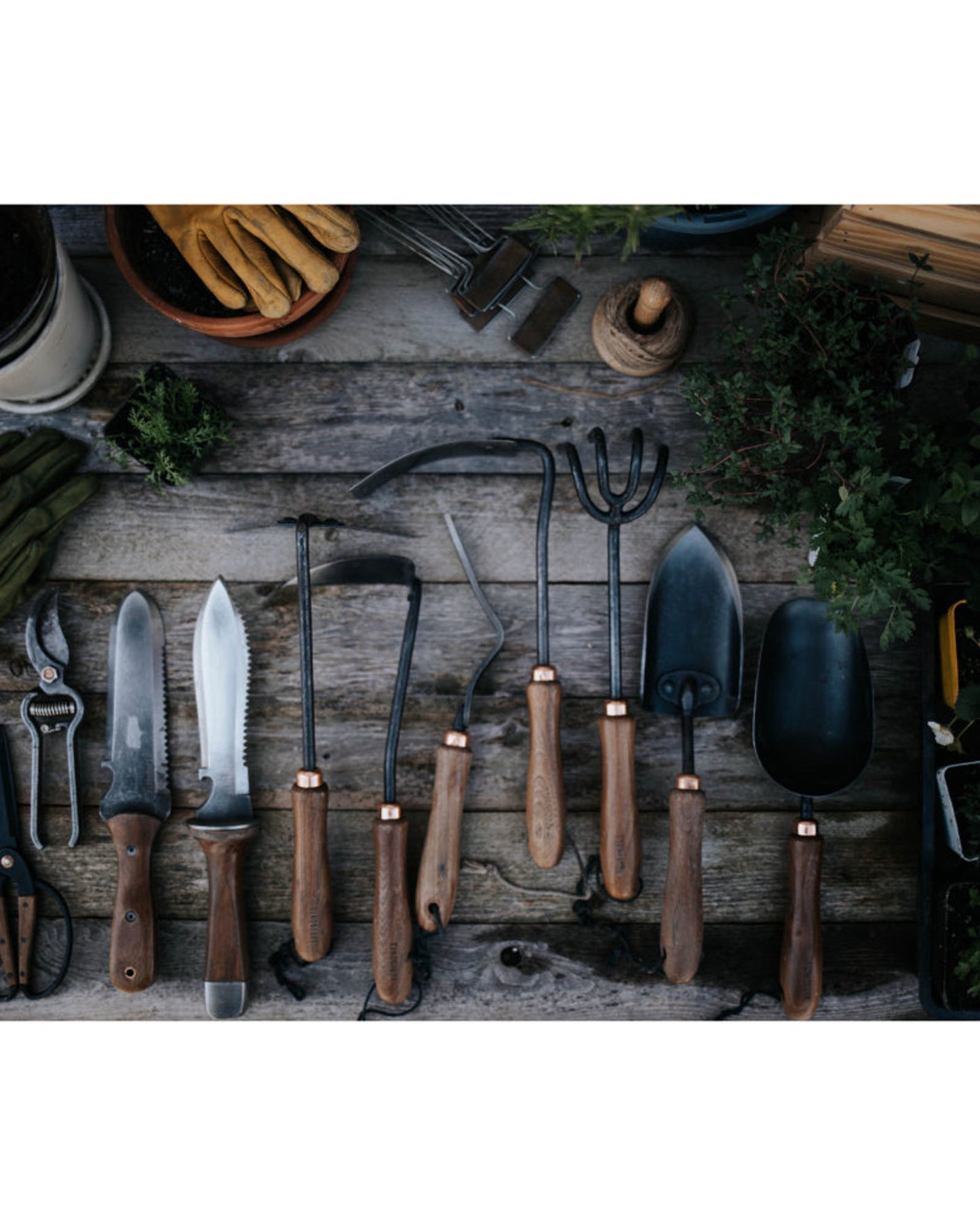 BareBones - Japanese Weeding Hoe  - Walnut/Black