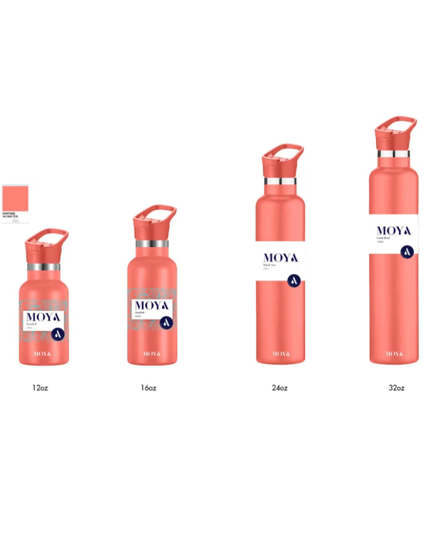 Moya "Starfish" 500ml Insulated Sustainable Water Bottle Black