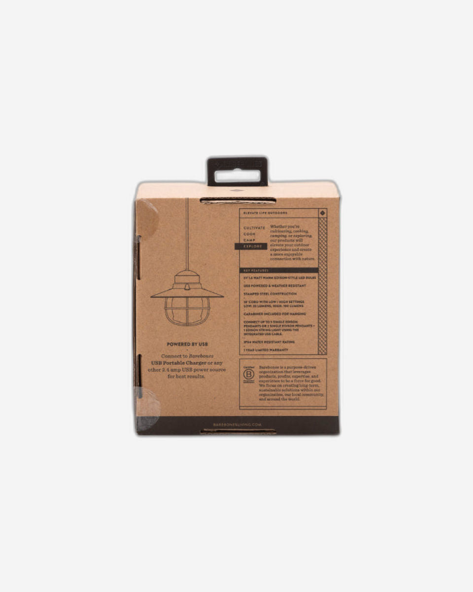 Barebones - Edison Pendant Light (Bronze)