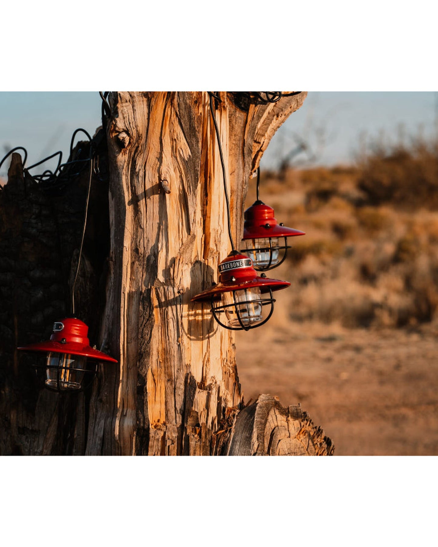 BareBones - Edison String Lights (Red)