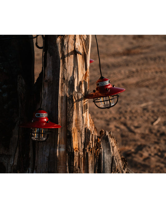 BareBones - Edison String Lights (Red)