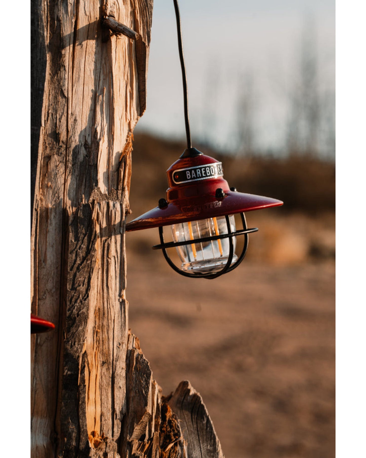 BareBones - Edison String Lights (Red)