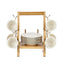 Shallow Elegant Porcelain Bamboo 6 Cup & 6 Saucer Set with Stand, 90ml