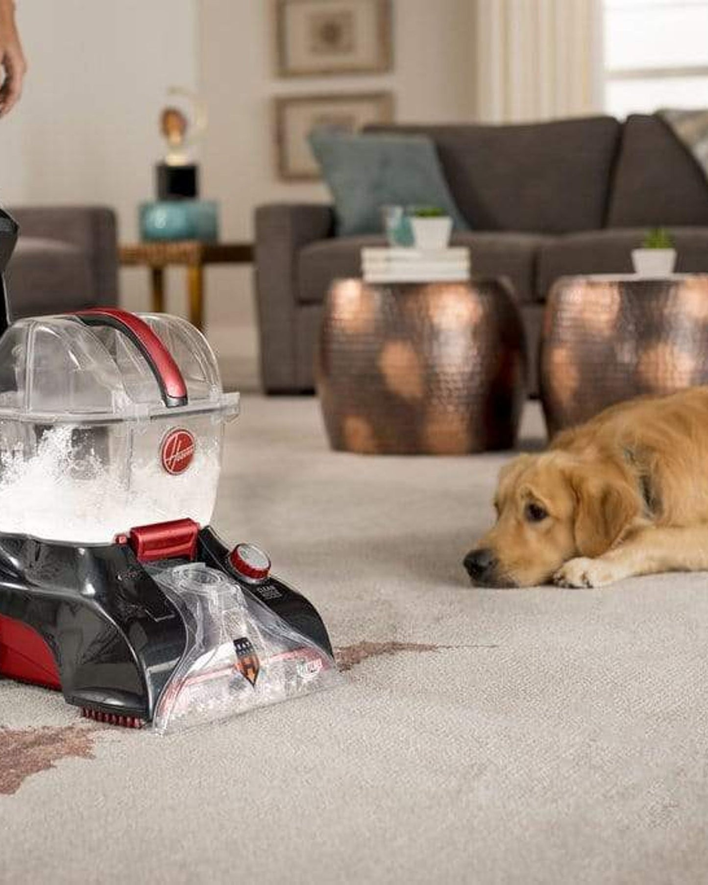 Hoover PowerScrub Elite Carpet Washer