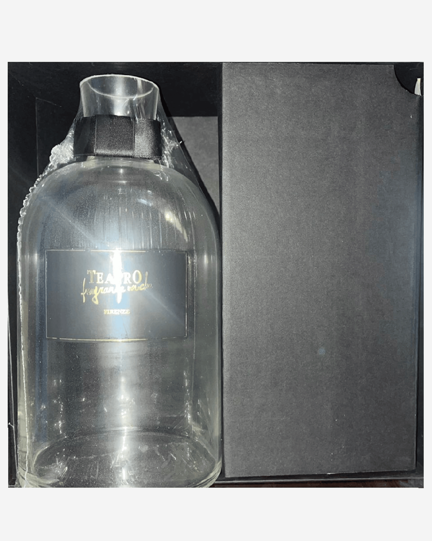Gift Set Fig Leaves Sticks 2500ml Transparent Vase