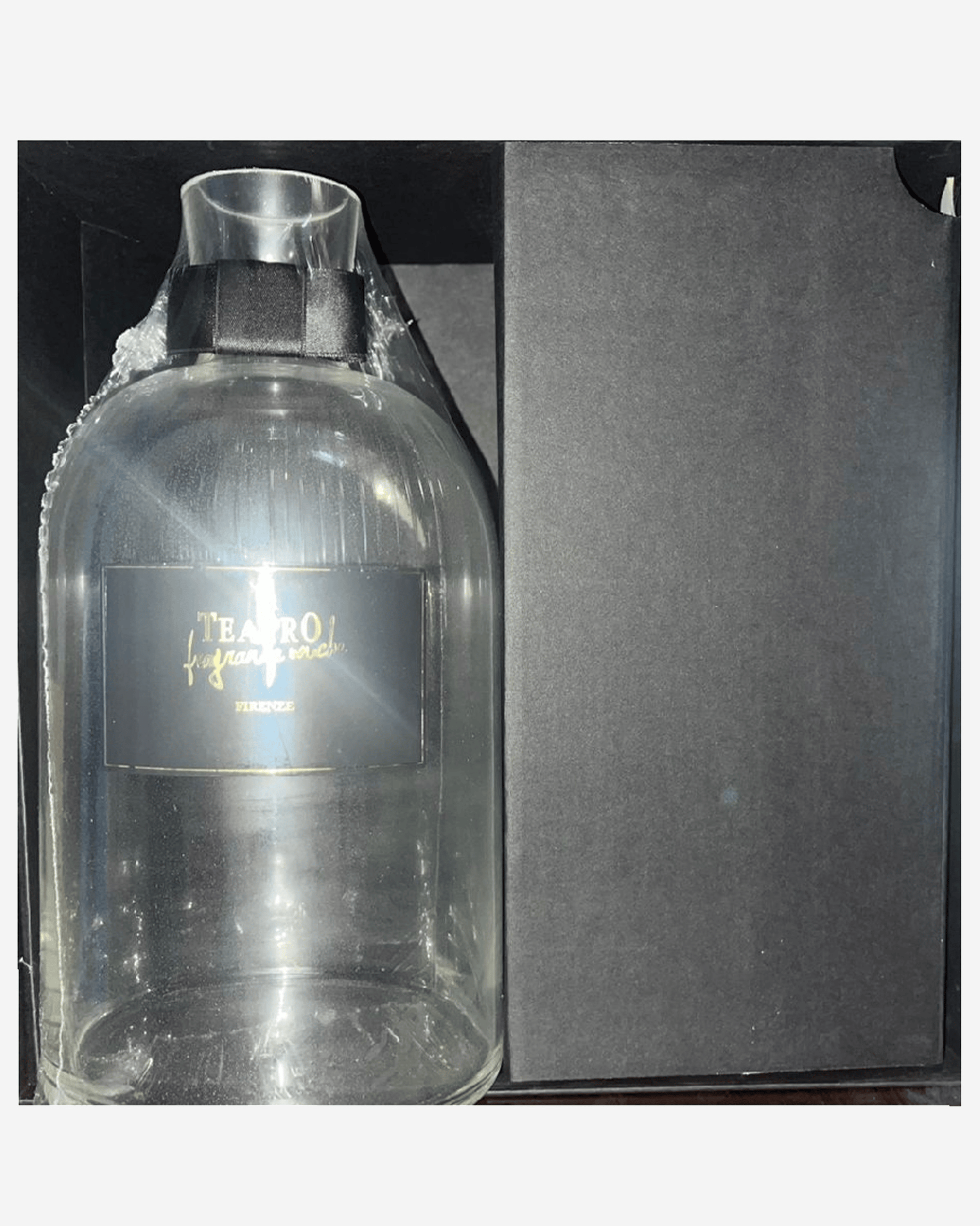 Gift Set Fig Leaves Sticks 2500ml Transparent Vase