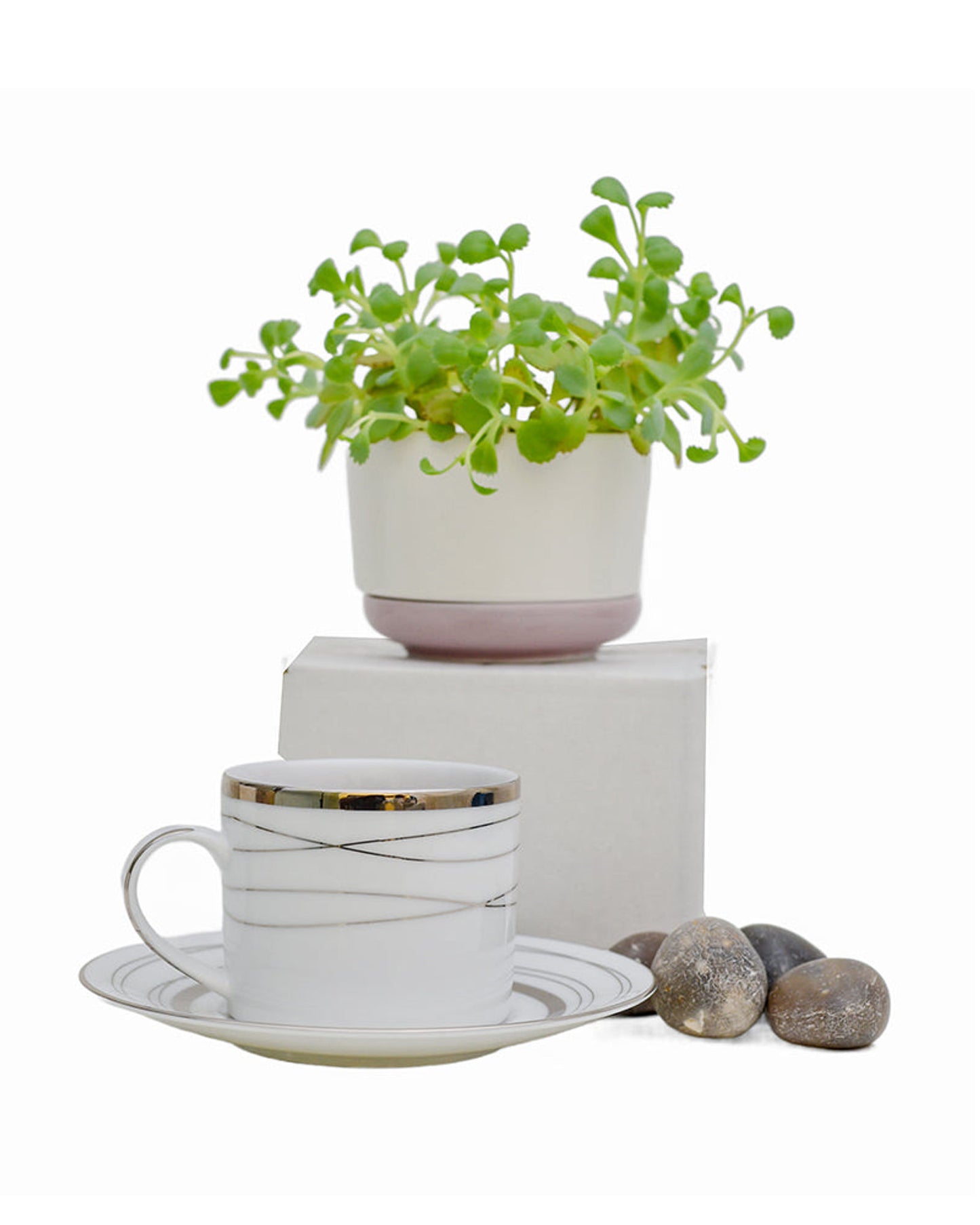 Dankotuwa Dinner Set 24Pc White Silver Helen