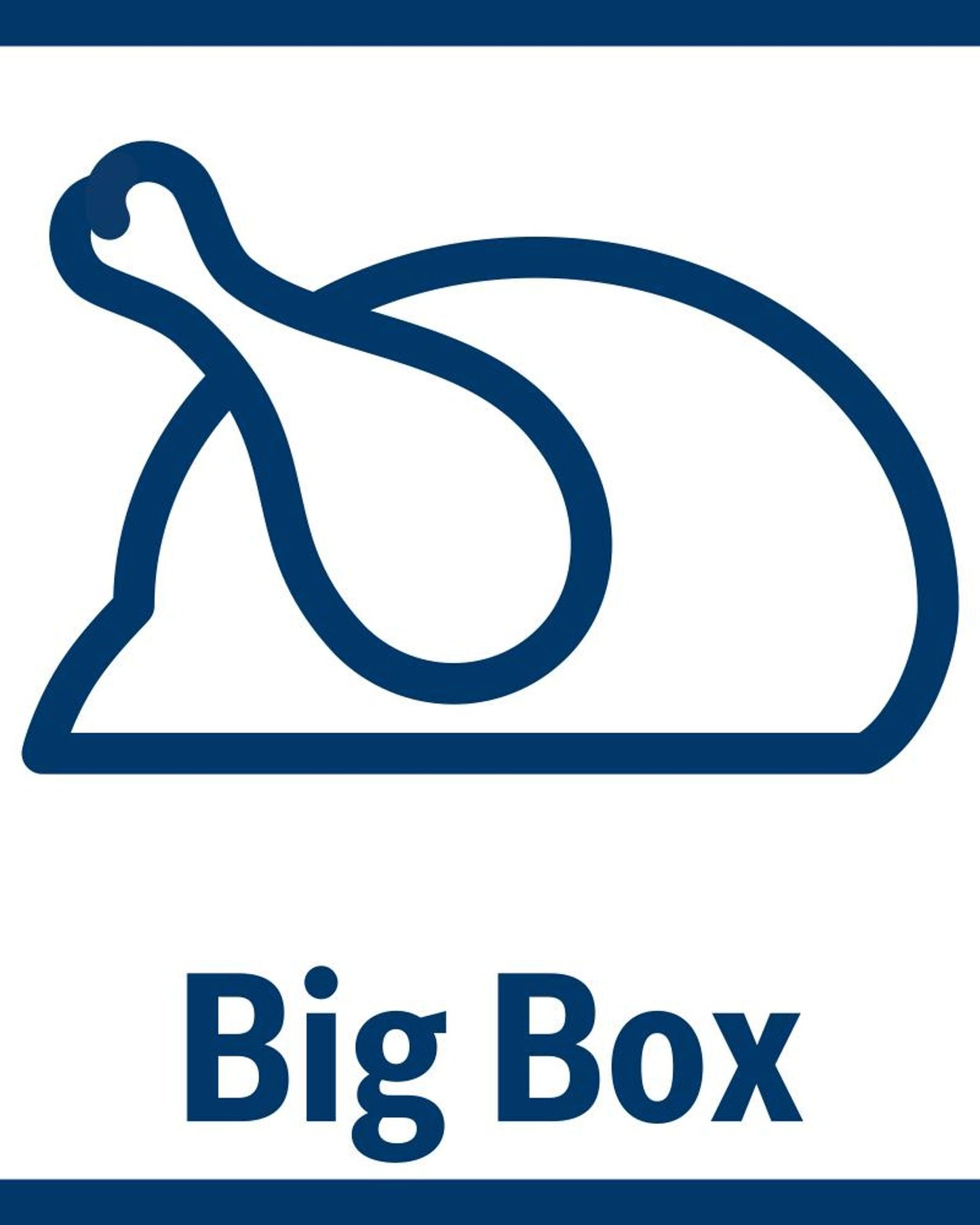 Bosch Series 6 Bottom Freezer Refrigerator