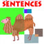 MY BOOK OF SENTENCES