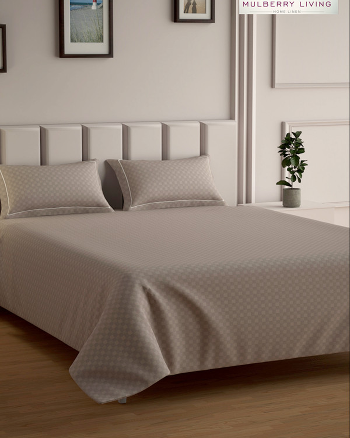 Mulberry Living Cotton Queen Flat 300TC Urban Grid Ivory