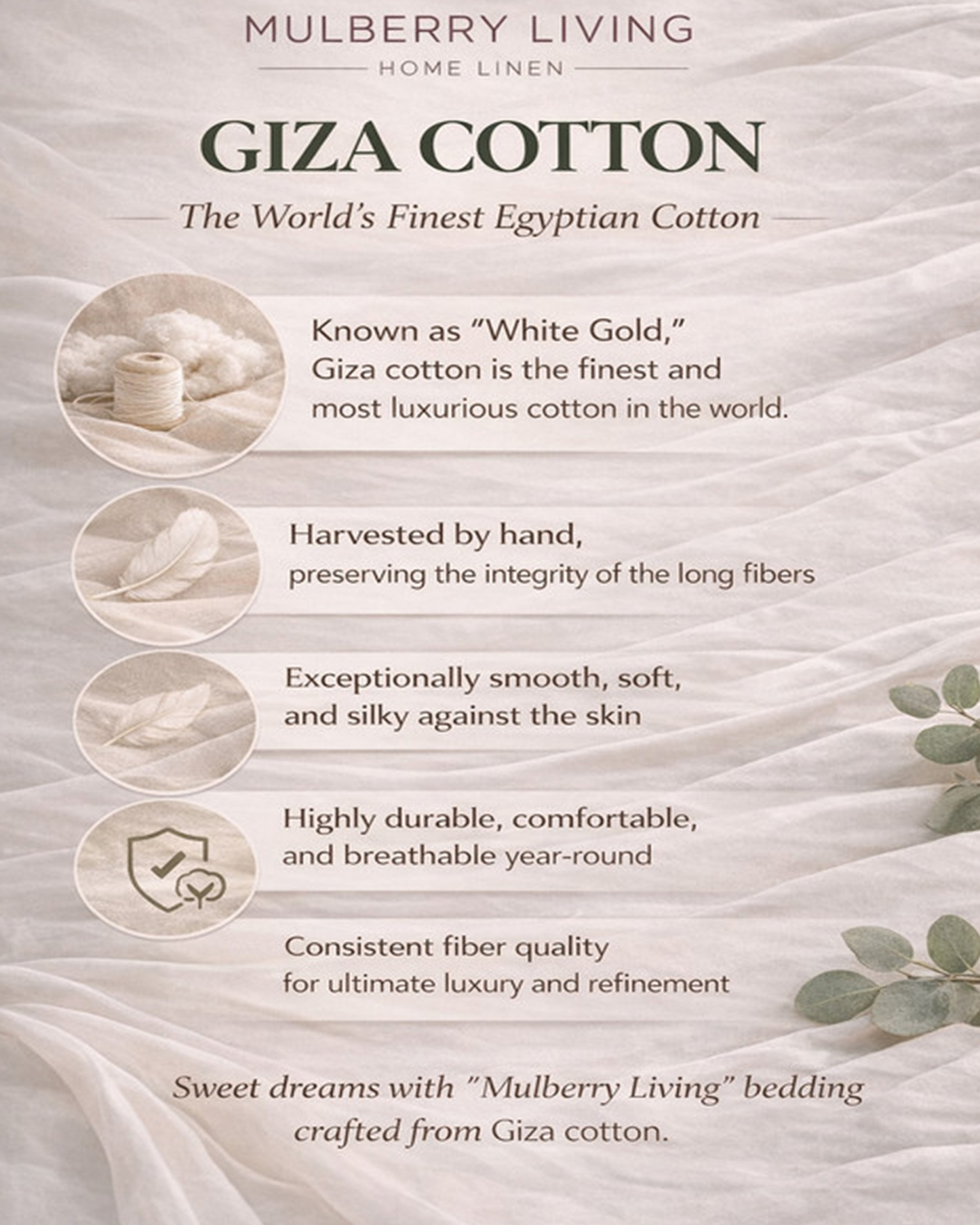 Mulberry Living Cotton King Flat 3Pc Giza Silver Grey