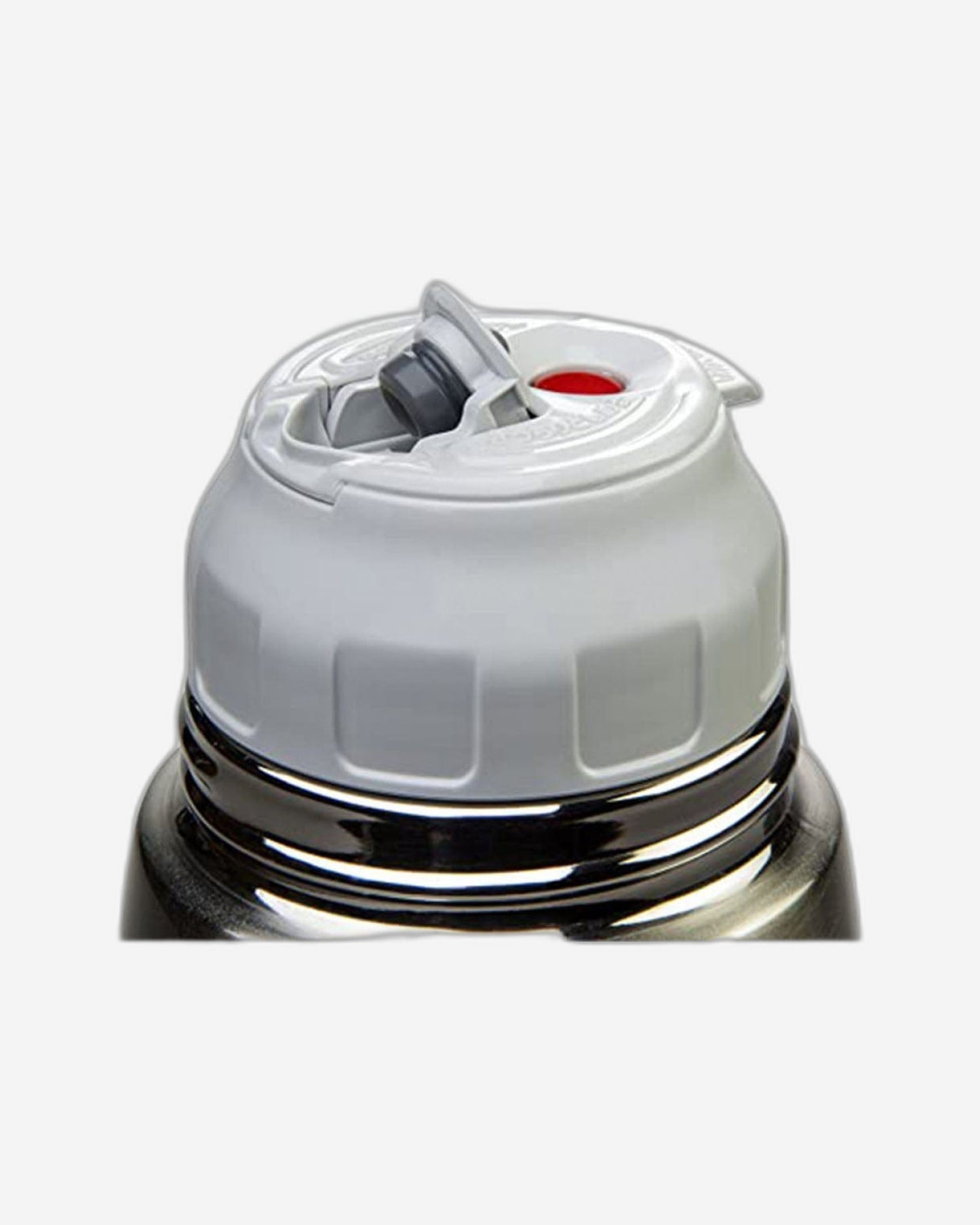 Zojirushi Silver Bottle Mug