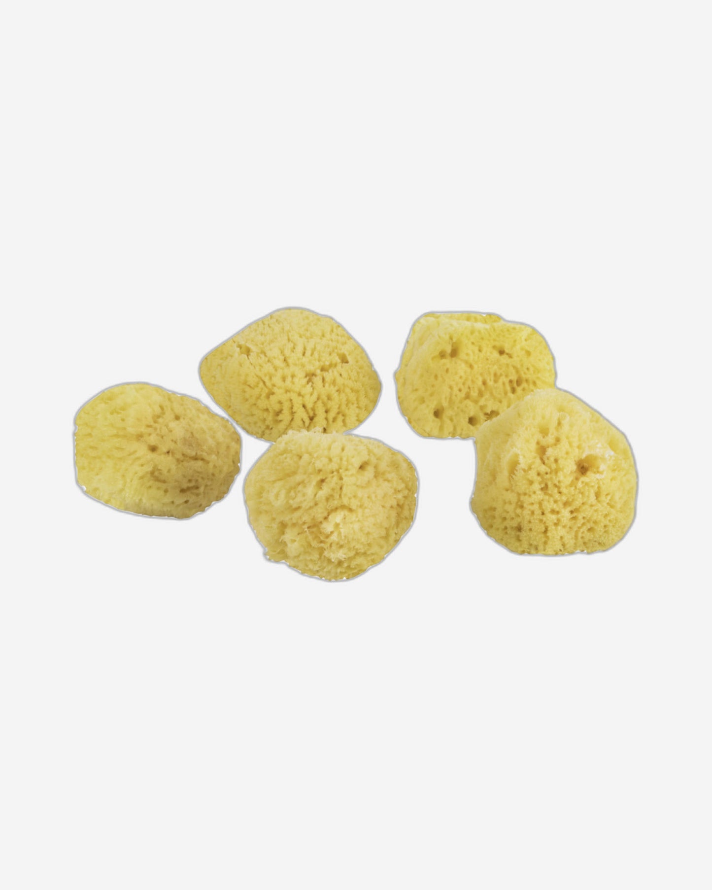 Mette Ditmer "Organic Ocean Face Sponge" 5 pcs in Yellow