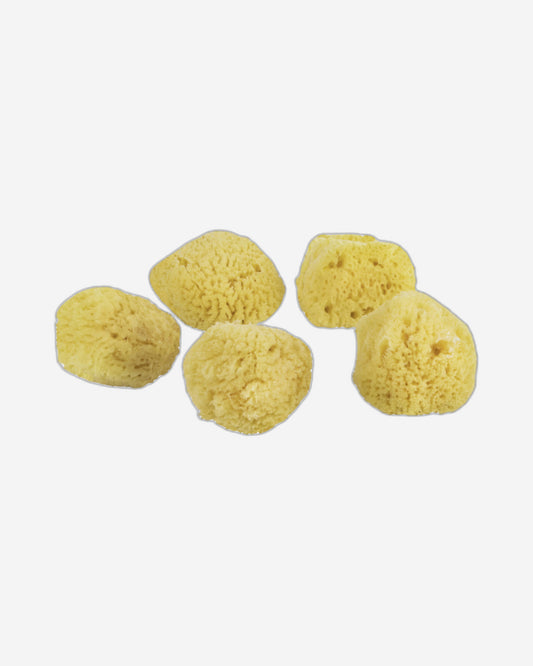 Mette Ditmer "Organic Ocean Face Sponge" 5 pcs in Yellow