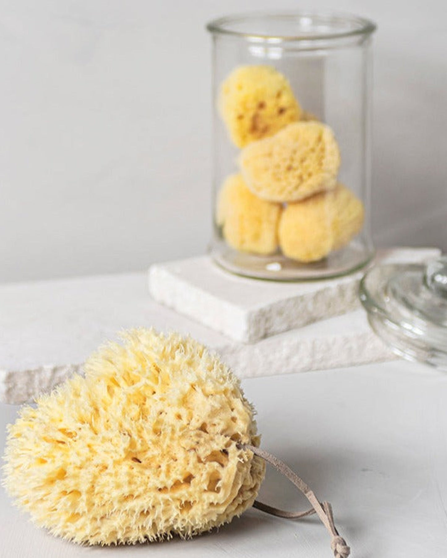 Mette Ditmer "Organic Sea Sponge" in Yellow