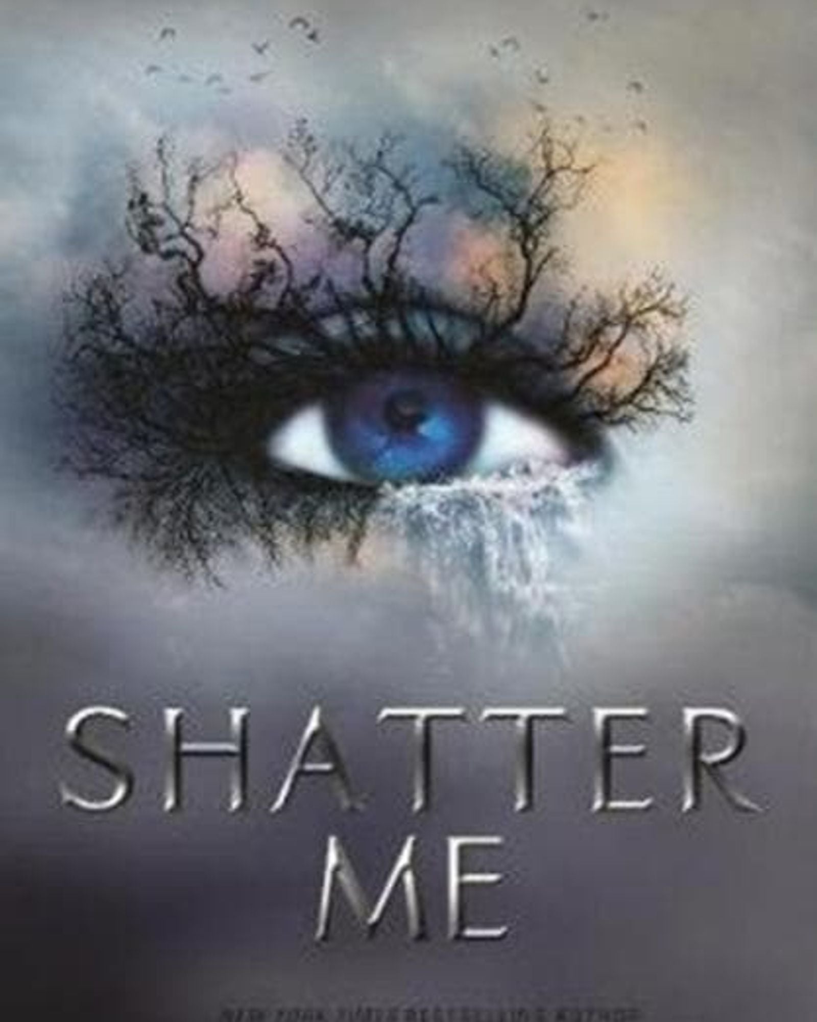 Shatter Me : 1