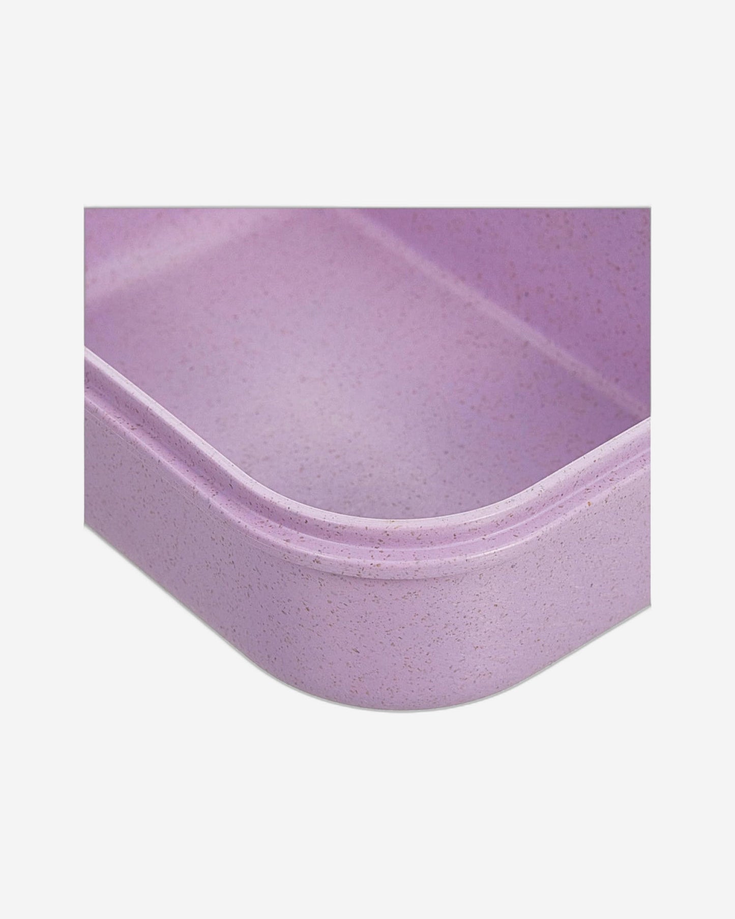 Nessan Wheat Fiber Lunch Box for Adults Containers Kids 3 Compartment Food (Flatware Included, Purple & Transparent) 1150ml