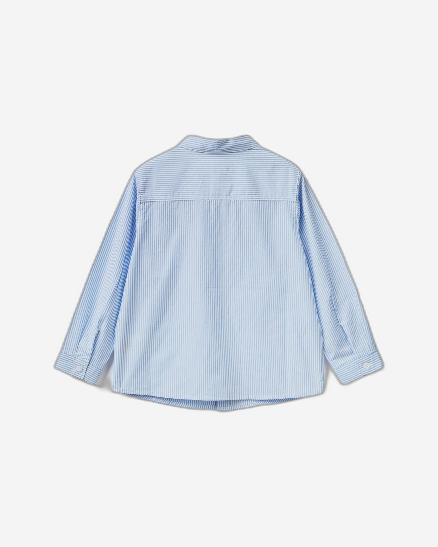 Shirt in pure cotton