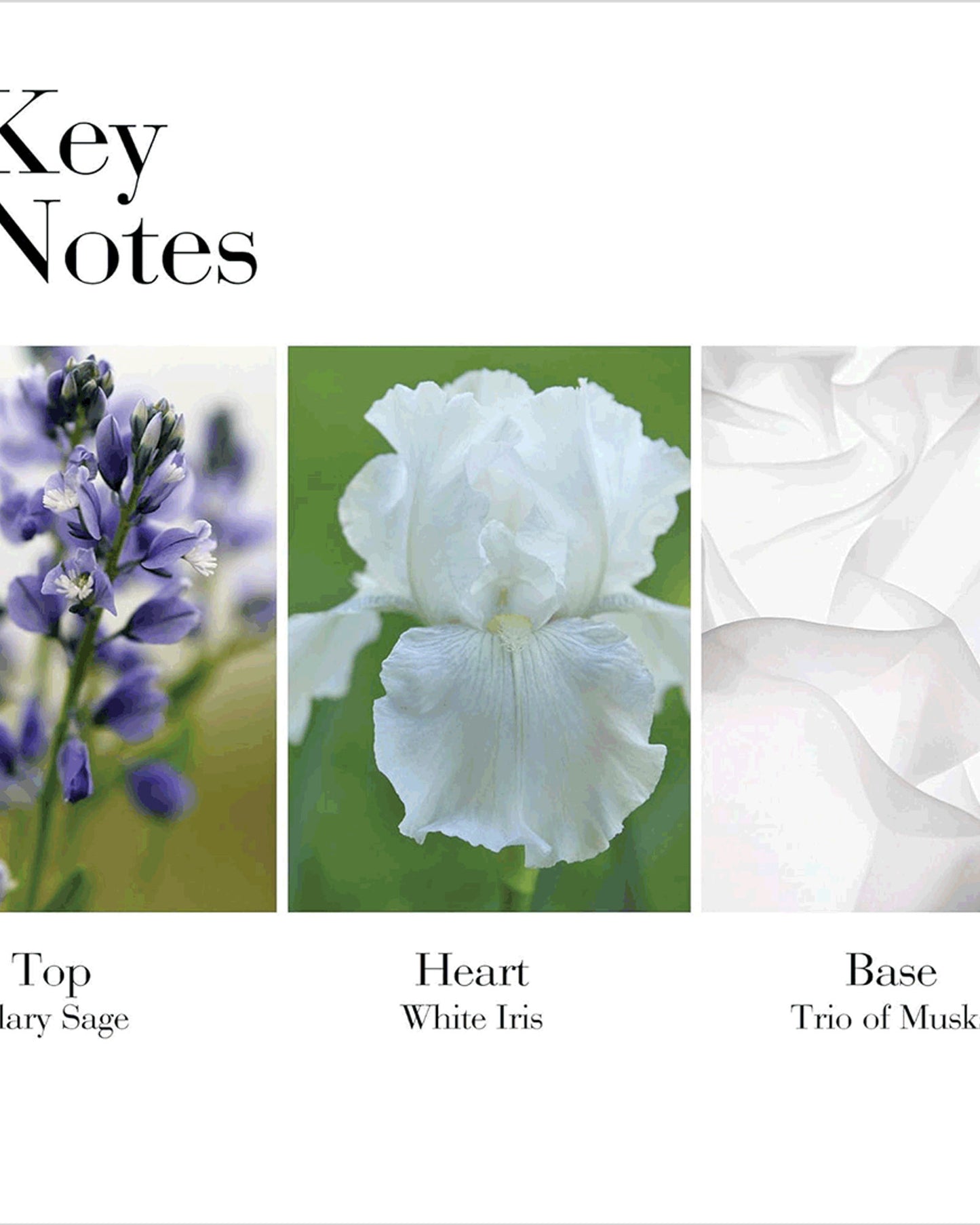 Elizabeth Arden White Tea Body Cream 400ml